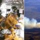 Columbia Shuttle Disaster: Crew Remains and Recovery | Disaster Information Hub – Latest Natural Disaster News & Emergency Resources