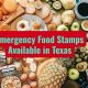 Get TX Disaster SNAP Food Stamps Now | Disaster Information Hub – Latest Natural Disaster News & Emergency Resources