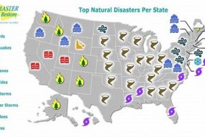 Interactive US Disaster Map & Risk Data | Disaster Information Hub – Latest Natural Disaster News & Emergency Resources