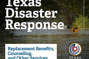 Texas Disaster Benefits Guide &amp; Resources | Disaster Information Hub – Latest Natural Disaster News & Emergency Resources