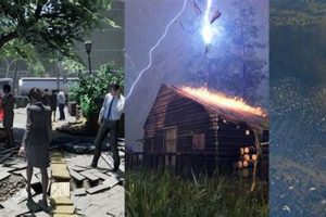 Top Natural Disaster Games: Play &amp; Learn | Disaster Information Hub – Latest Natural Disaster News & Emergency Resources