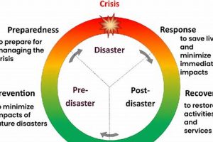 Essential Disaster Prevention Strategies & Tips | Disaster Information Hub – Latest Natural Disaster News & Emergency Resources