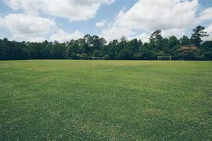 The Lawn Disaster: Why Your Yard Is an Eco-Nightmare Disaster Information Hub – Latest Natural Disaster News & Emergency Resources The Lawn Disaster: Why Your Yard Is an Eco-Nightmare | Disaster Information Hub – Latest Natural Disaster News & Emergency Resources