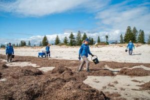 Averting Harris Disasters: Lessons Learned | Disaster Information Hub – Latest Natural Disaster News & Emergency Resources