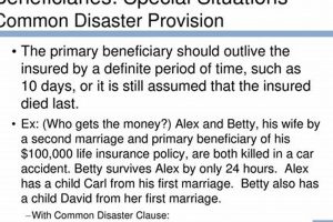 Essential Common Disaster Provision Checklist | Disaster Information Hub – Latest Natural Disaster News & Emergency Resources