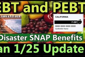 Get EBT Disaster Food Stamps Now: Apply Today Disaster Information Hub – Latest Natural Disaster News & Emergency Resources Get EBT Disaster Food Stamps Now: Apply Today | Disaster Information Hub – Latest Natural Disaster News & Emergency Resources