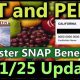Get EBT Disaster Food Stamps Now: Apply Today | Disaster Information Hub – Latest Natural Disaster News & Emergency Resources