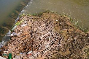 Preventing Eco Disasters: A Survival Guide | Disaster Information Hub – Latest Natural Disaster News & Emergency Resources