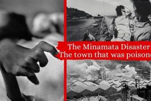 The Tragedy of Minamata Disaster: A Case Study | Disaster Information Hub – Latest Natural Disaster News & Emergency Resources