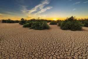 Is Drought a Natural Disaster? Understanding its Impact | Disaster Information Hub – Latest Natural Disaster News & Emergency Resources