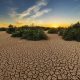 Is Drought a Natural Disaster? Understanding its Impact | Disaster Information Hub – Latest Natural Disaster News & Emergency Resources