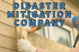 Top Disaster Mitigation Companies & Services | Disaster Information Hub – Latest Natural Disaster News & Emergency Resources