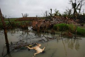 Top 5 Biggest Natural Disasters Ever Recorded | Disaster Information Hub – Latest Natural Disaster News & Emergency Resources