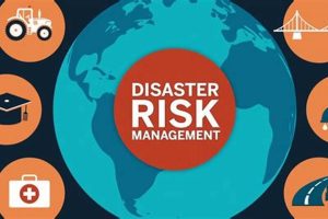 Effective Disaster Risk Mitigation Strategies | Disaster Information Hub – Latest Natural Disaster News & Emergency Resources