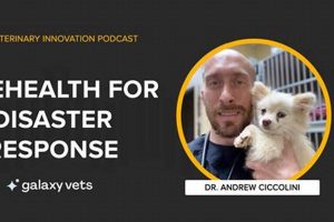 Disaster Relief: Telehealth in Disaster Zones | Disaster Information Hub – Latest Natural Disaster News & Emergency Resources