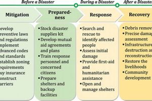 Disaster Preparedness Phases: Guide & Checklist | Disaster Information Hub – Latest Natural Disaster News & Emergency Resources