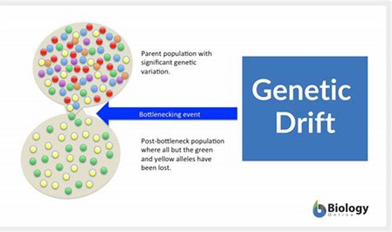 Natural Disasters: Genetic Drift & Evolution Disaster Information Hub – Latest Natural Disaster News & Emergency Resources Natural Disasters: Genetic Drift & Evolution | Disaster Information Hub – Latest Natural Disaster News & Emergency Resources