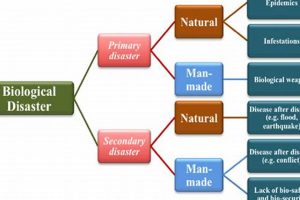 Preventing Biological Disaster: A Guide | Disaster Information Hub – Latest Natural Disaster News & Emergency Resources