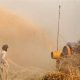 Prevent Grain Dust Explosions: Safety Guide | Disaster Information Hub – Latest Natural Disaster News & Emergency Resources