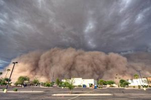 Phoenix Natural Disaster Guide & Prep | Disaster Information Hub – Latest Natural Disaster News & Emergency Resources