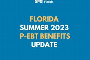 Florida Disaster EBT Guide &amp; Application | Disaster Information Hub – Latest Natural Disaster News & Emergency Resources
