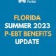 Florida Disaster EBT Guide &amp; Application | Disaster Information Hub – Latest Natural Disaster News & Emergency Resources