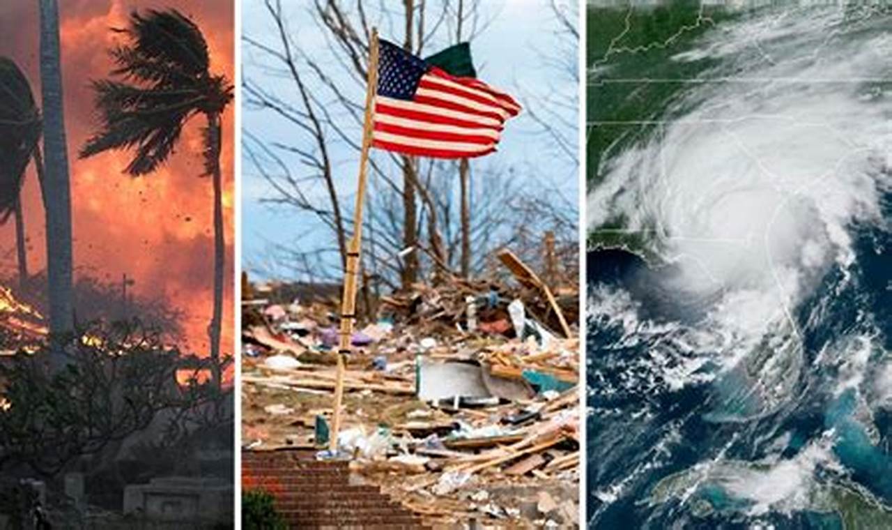 US Natural Disaster Impacts: Recent Trends & Prep | Disaster Information Hub – Latest Natural Disaster News & Emergency Resources