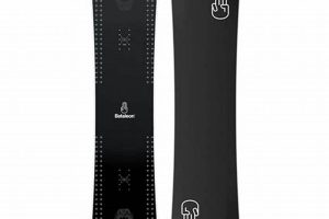 Averting a Bataleon Snowboards Disaster: A Guide | Disaster Information Hub – Latest Natural Disaster News & Emergency Resources