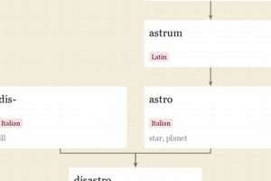 Unraveling Disaster Etymology: A Deep Dive | Disaster Information Hub – Latest Natural Disaster News & Emergency Resources