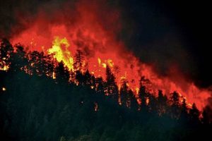Understanding Firestorm Natural Disaster Impacts | Disaster Information Hub – Latest Natural Disaster News & Emergency Resources