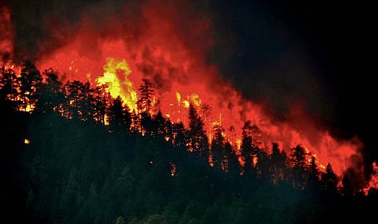 Understanding Firestorm Natural Disaster Impacts | Disaster Information Hub – Latest Natural Disaster News & Emergency Resources