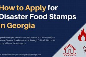Accessing Disaster Food Stamp Benefits After a Crisis Disaster Information Hub – Latest Natural Disaster News & Emergency Resources Accessing Disaster Food Stamp Benefits After a Crisis | Disaster Information Hub – Latest Natural Disaster News & Emergency Resources
