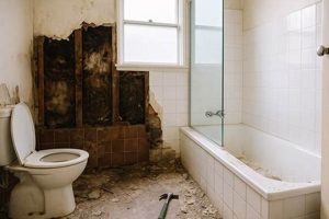 Bathroom Disasters Disaster Information Hub – Latest Natural Disaster News & Emergency Resources Bathroom Disasters | Disaster Information Hub – Latest Natural Disaster News & Emergency Resources