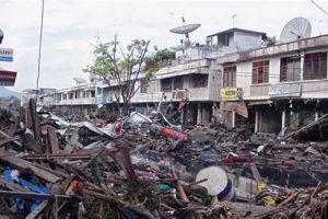 The Boxing Day Tsunami: Disaster & Aftermath Disaster Information Hub – Latest Natural Disaster News & Emergency Resources The Boxing Day Tsunami: Disaster & Aftermath | Disaster Information Hub – Latest Natural Disaster News & Emergency Resources