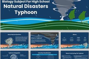 Preventing Bio Disasters: A Survival Guide | Disaster Information Hub – Latest Natural Disaster News & Emergency Resources