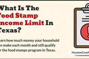 Houston Disaster Food Stamps Guide &amp; Resources | Disaster Information Hub – Latest Natural Disaster News & Emergency Resources
