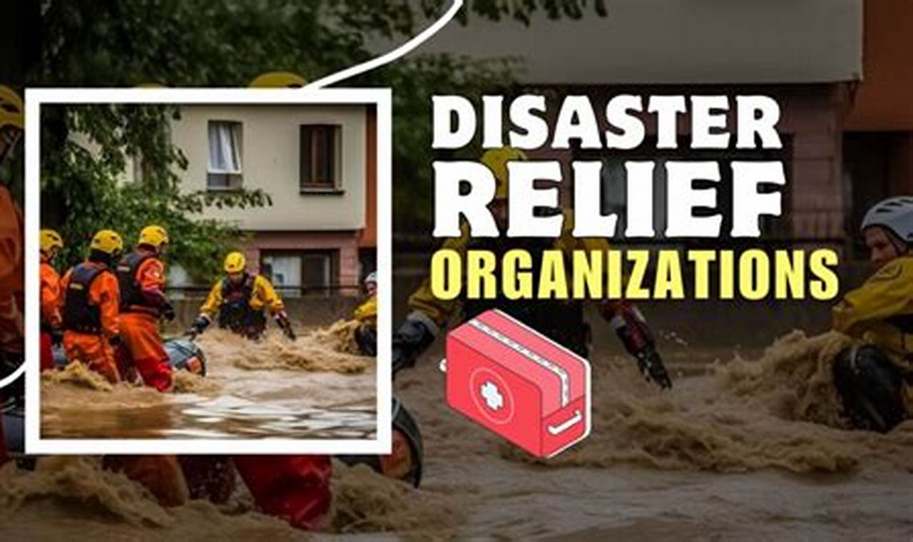 Top Natural Disaster Organizations &amp; Charities | Disaster Information Hub – Latest Natural Disaster News & Emergency Resources