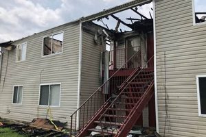 Best Global Disaster Solutions & Strategies Disaster Information Hub – Latest Natural Disaster News & Emergency Resources Best Global Disaster Solutions & Strategies | Disaster Information Hub – Latest Natural Disaster News & Emergency Resources