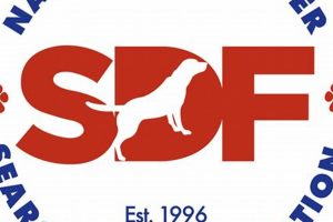 Top National Disaster Search Dog Foundation: A Guide | Disaster Information Hub – Latest Natural Disaster News & Emergency Resources