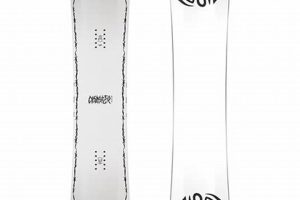 The Bataleon Disaster 2021: Fact or Fiction? Disaster Information Hub – Latest Natural Disaster News & Emergency Resources The Bataleon Disaster 2021: Fact or Fiction? | Disaster Information Hub – Latest Natural Disaster News & Emergency Resources