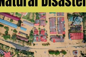 Comforting Words: Supporting Loved Ones After Natural Disasters | Disaster Information Hub – Latest Natural Disaster News & Emergency Resources