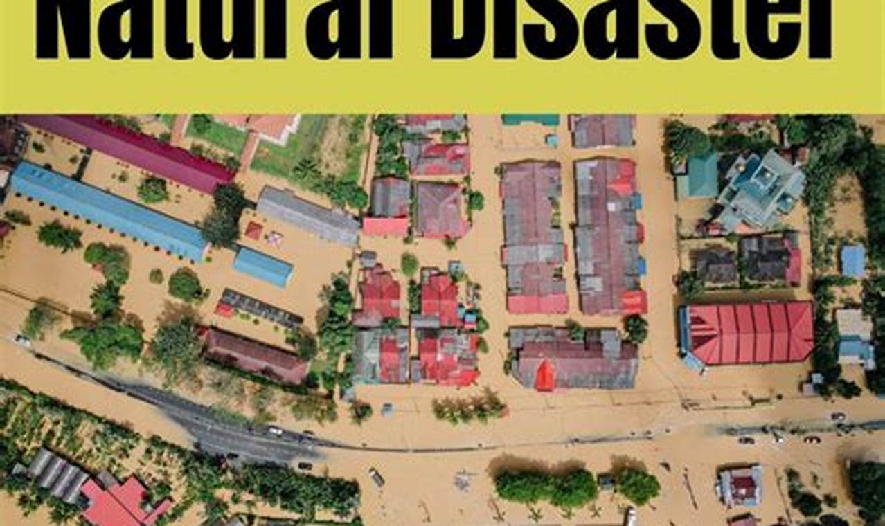 Comforting Words: Supporting Loved Ones After Natural Disasters | Disaster Information Hub – Latest Natural Disaster News & Emergency Resources