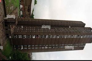 Kerrin Point Disaster: A Nuclear Tragedy | Disaster Information Hub – Latest Natural Disaster News & Emergency Resources