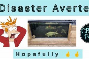 Understanding "Disaster Averted": What Does It Mean? | Disaster Information Hub – Latest Natural Disaster News & Emergency Resources