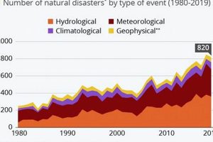 Global Disasters: A History of Catastrophes | Disaster Information Hub – Latest Natural Disaster News & Emergency Resources