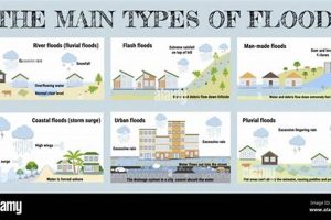 Devastating Flood Natural Disasters: Preparation & Recovery Disaster Information Hub – Latest Natural Disaster News & Emergency Resources Devastating Flood Natural Disasters: Preparation & Recovery | Disaster Information Hub – Latest Natural Disaster News & Emergency Resources