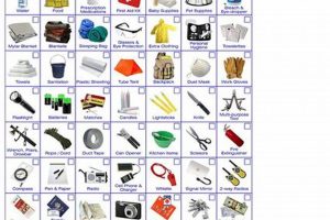 Ultimate Disaster Preparedness List & Checklist | Disaster Information Hub – Latest Natural Disaster News & Emergency Resources