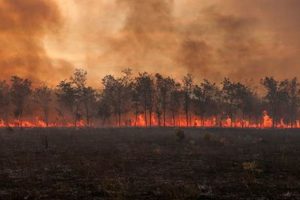 2023's Major Natural Disasters: A Year in Review Disaster Information Hub – Latest Natural Disaster News & Emergency Resources 2023's Major Natural Disasters: A Year in Review | Disaster Information Hub – Latest Natural Disaster News & Emergency Resources