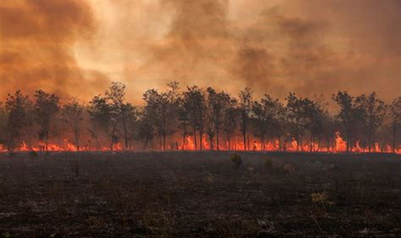 2023's Major Natural Disasters: A Year in Review | Disaster Information Hub – Latest Natural Disaster News & Emergency Resources