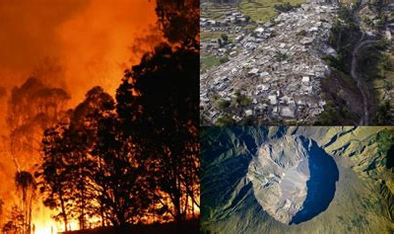 Causes of Natural Disasters: A Deep Dive | Disaster Information Hub – Latest Natural Disaster News & Emergency Resources